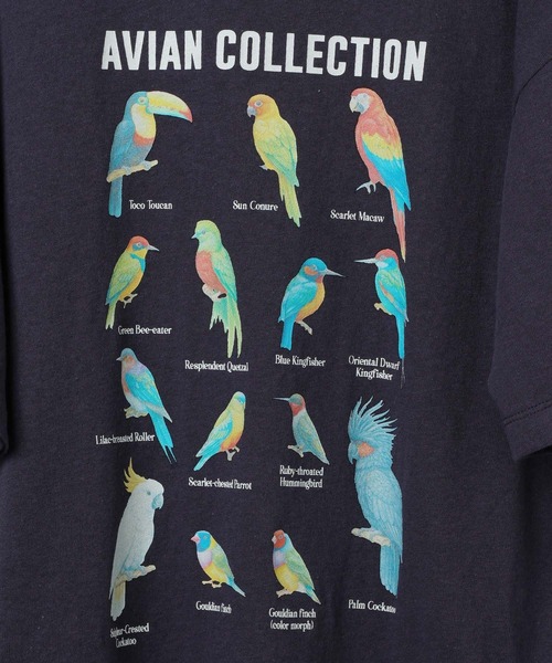 studio CLIP(スタディオクリップ)の「【daily CLIP】bird guide BIGTシャツ(Tシャツ/カットソー・レディース・ホワイト/ネイビー/ボルドー・FREE)」の5枚目の写真