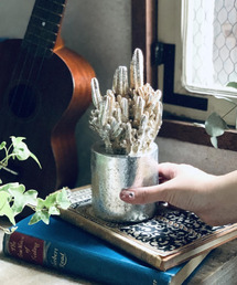 �C���e���A�i�C���e���A�j�́u���B�N�g���A�� �I�u�W�F �{�^�j�J���i�C���e���A�A�N�Z�T���[�j�v