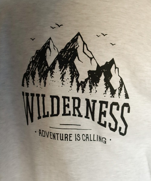 Auntie Rosa Holiday（アンティローザホリデー）の「マウンテンバックプリントスウェット（スウェット・レディース・チャコールグレー/ライトグレー/ナチュラル・FREE）」の15枚目の写真