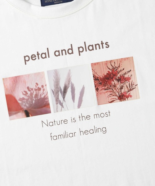 HONEYSUCKLE ROSE（ハニーサックルローズ）の「【HONEYSUCKLE ROSE】ラウンドプリントＴ（Tシャツ/カットソー・レディース・オフホワイト/グリーン/ホワイト×ブラック/ホワイト×カーキブラウン/ブラック/ホワイト/ブラック×ホワイト・L/M）」の17枚目の写真