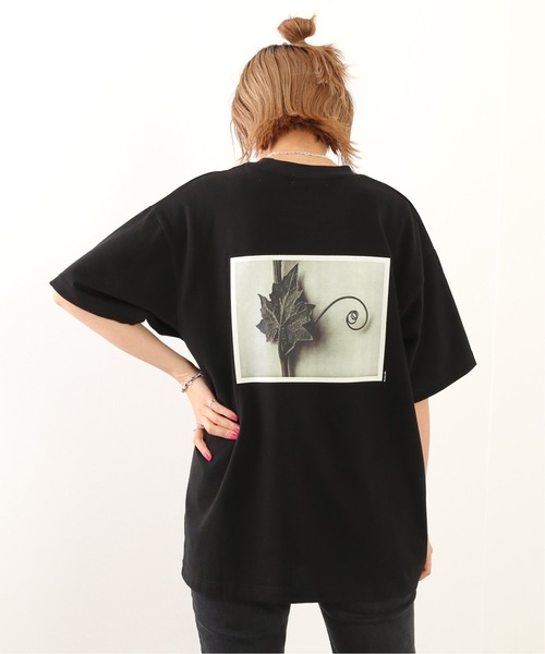 JOURNAL STANDARD relume（ジャーナルスタンダード　レリューム）の「【Karl Blossfeldt/カール・ブロスフェルト】フォト Tシャツ（Tシャツ/カットソー・メンズ・ホワイト/ブラック/グレー/ブラック系その他・SMALL/MEDIUM/LARGE）」の4枚目の写真