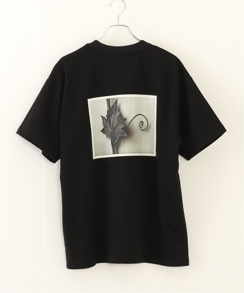 JOURNAL STANDARD relume（ジャーナルスタンダード　レリューム）の「【Karl Blossfeldt/カール・ブロスフェルト】フォト Tシャツ（Tシャツ/カットソー・メンズ・ホワイト/ブラック/グレー/ブラック系その他・SMALL/MEDIUM/LARGE）」の5枚目の写真