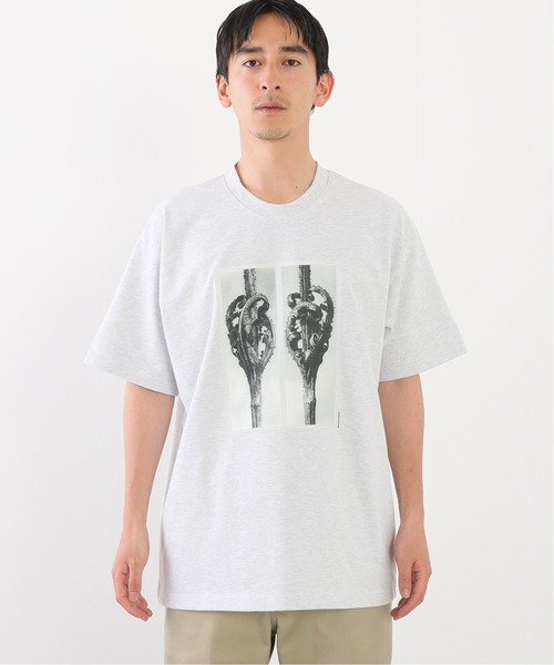 JOURNAL STANDARD relume（ジャーナルスタンダード　レリューム）の「【Karl Blossfeldt/カール・ブロスフェルト】フォト Tシャツ（Tシャツ/カットソー・メンズ・ホワイト/ブラック/グレー/ブラック系その他・SMALL/MEDIUM/LARGE）」の14枚目の写真