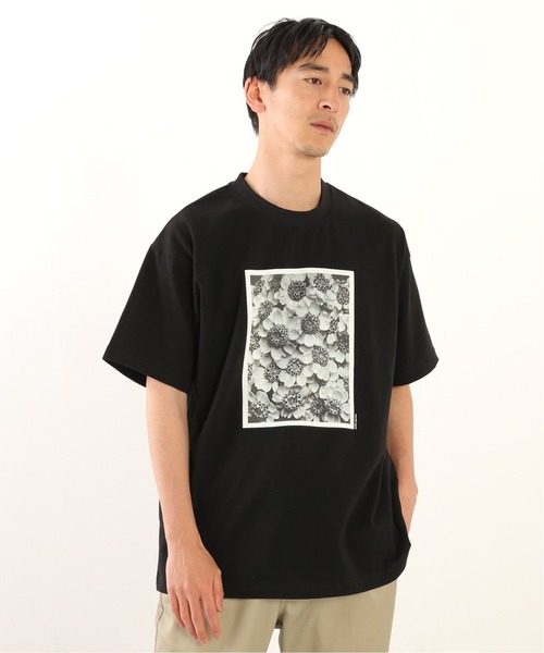 JOURNAL STANDARD relume（ジャーナルスタンダード　レリューム）の「【Karl Blossfeldt/カール・ブロスフェルト】フォト Tシャツ（Tシャツ/カットソー・メンズ・ホワイト/ブラック/グレー/ブラック系その他・SMALL/MEDIUM/LARGE）」の6枚目の写真