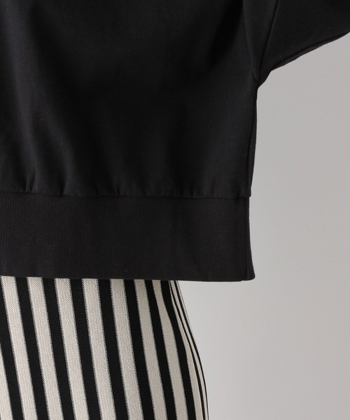 LEPSIM（レプシィム）の「クロップドトップス 997054（Tシャツ