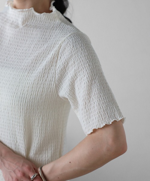 Fizz(フィズ)の「【Fizz/フィズ】 カットシャーリング プチハイネック半袖Tee(Tシャツ/カットソー・レディース・グレイッシュベージュ/アイボリー/ブラック・M)」の11枚目の写真