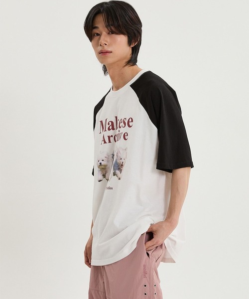 【UNISEX】Wai Kei／マルチーズラグランT（Tシャツ/カットソー）｜WaiKei（ワイケイ）