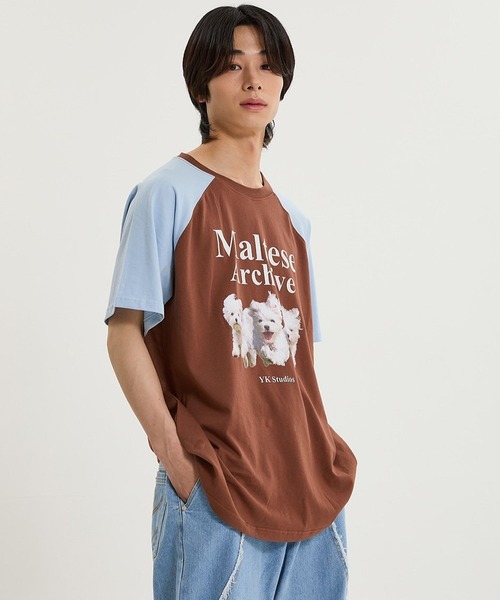 【UNISEX】Wai Kei／マルチーズラグランT（Tシャツ/カットソー）｜WaiKei（ワイケイ）