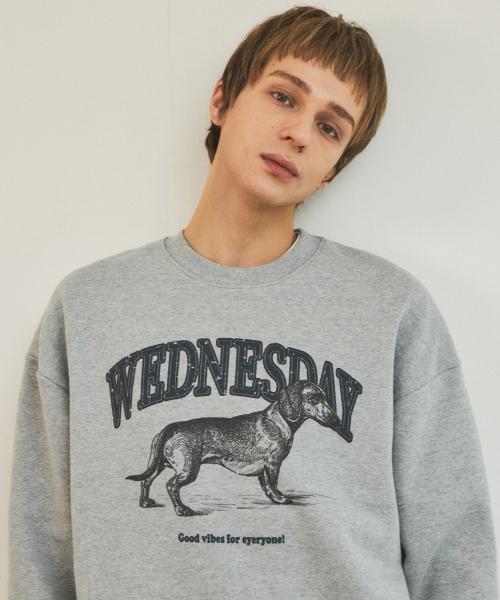 WEDNESDAY OASIS(ウェンズデーオアシス)の「アグリー ダックスフンド スウェットシャツ_Melange GrayW25-TP02(スウェット・メンズ・グレー・LARGE/MEDIUM)」の2枚目の写真
