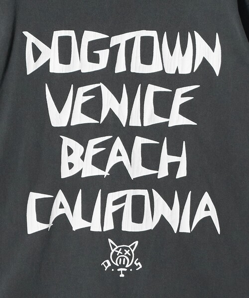 DOGTOWN(ドッグタウン)の「<DOGTOWN × CGS.>ピグメント ロング スリーブ Tシャツ 2(Tシャツ/カットソー・メンズ・ブラウン系/ダークグレー/オフホワイト・M/L/XL)」の16枚目の写真