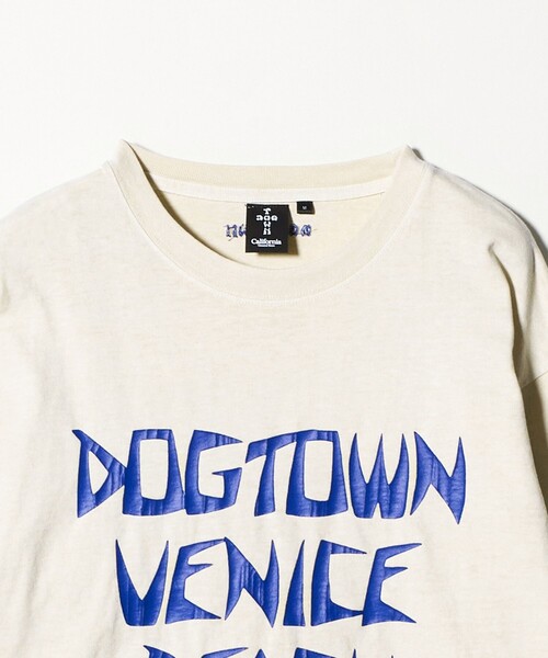 DOGTOWN(ドッグタウン)の「<DOGTOWN × CGS.>ピグメント ロング スリーブ Tシャツ 2(Tシャツ/カットソー・メンズ・ブラウン系/ダークグレー/オフホワイト・M/L/XL)」の19枚目の写真
