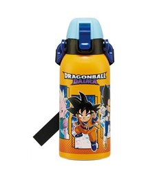 Skater（スケーター）の「水筒 子供 キャラクター 保冷 ボトル 600ml 直飲み  STCH6（水筒）」