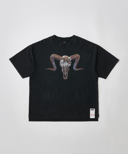 ADAM PATEK(アダムパテック)の「ADAMPATEK/(ADAMPATEK / RED:BANSHEE Ram Skull Graphic short sleeve t-shirt/コラボレーションTシャツ(Tシャツ/カットソー・メンズ・ブラック・2/1)」の6枚目の写真