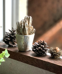 �C���e���A�i�C���e���A�j�́u���B�N�g���A�� �p�C�i�b�v��/�{�^�j�J�� �~�j�I�u�W�F�i�C���e���A�A�N�Z�T���[�j�v