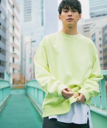 LOWRYS FARM | ＵＳＡＢＩＧリブクルー　926647(スウェット)