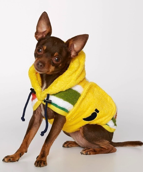 THE PAINTER'S WIFE（ザペインターズワイフ）の「PEGGY DOG BATHROBE MULTICOLOR（ペットウェア・メンズ・マルチ・XS）」の2枚目の写真