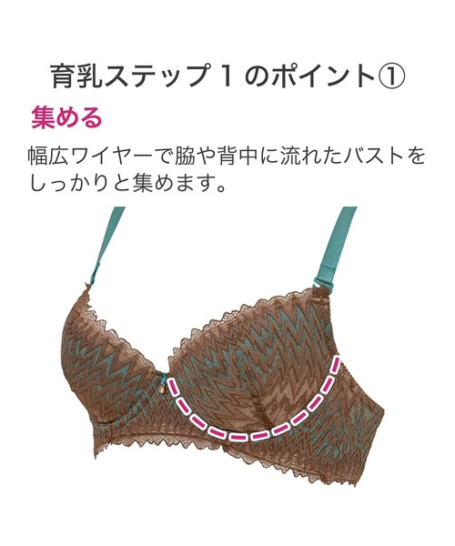 BRADELIS NEWYORK（ブラデリスニューヨーク）の「ウェンディステップ１ブラ23S1 ブラデリス 育乳補整 補正下着（ブラジャー・レディース・ブラウン/ライトグリーン/ラベンダー・B70/B75/C65/C70/C75/D65/D70/D75/E65/E70/E75/F65/F70/F75）」の12枚目の写真