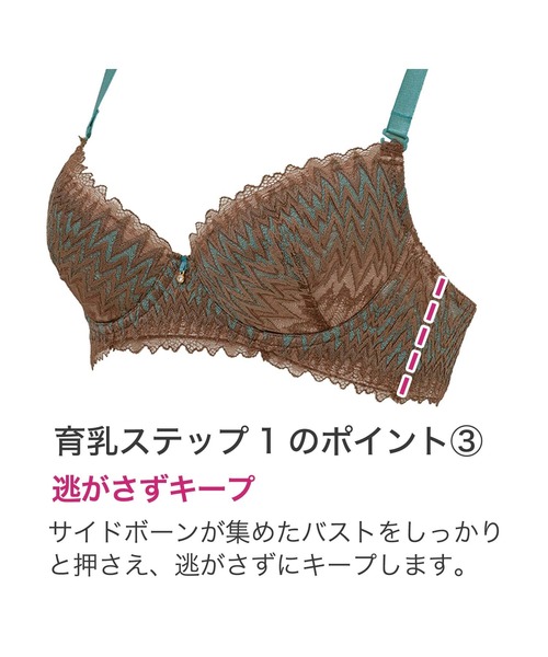 BRADELIS NEWYORK(ブラデリスニューヨーク)の「ウェンディステップ1ブラ23S1 ブラデリス 育乳補整 補正下着(ブラジャー・レディース・ブラウン/ライトグリーン/ラベンダー・B70/B75/C65/C70/C75/D65/D70/D75/E65/E70/E75/F65/F70/F75)」の5枚目の写真