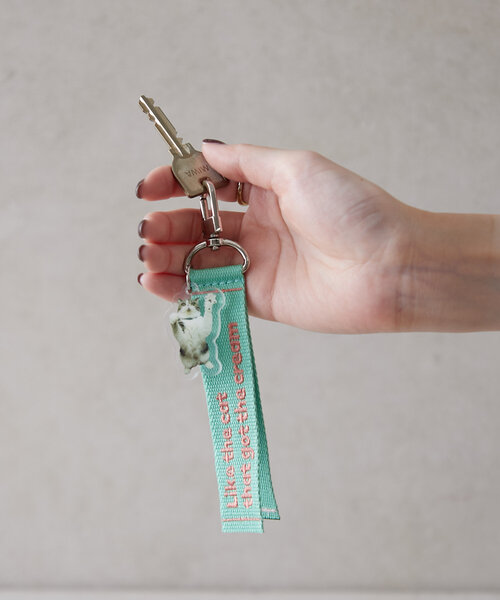 BIRTHDAY BAR（バースデイバー）の「Pechanko Cats　アクリルキーホルダー（キーホルダー・レディース・グリーン/ブルー/イエロー・0）」の19枚目の写真