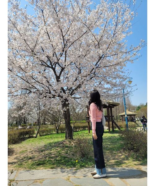 SINOON(シヌーン)の「SINOON PULLOVER KNIT (PINK)(ニット/セーター・レディース・ピンク・FREE)」の6枚目の写真