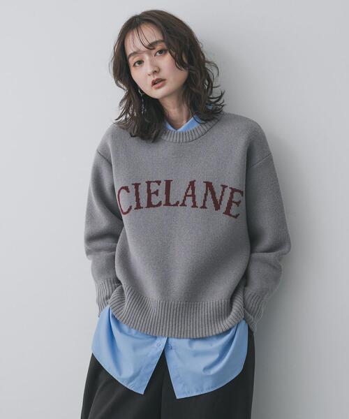 SENSE OF PLACE by URBAN RESEARCH（センスオブプレイスバイアーバンリサーチ）の「『洗濯可』ジャガードロゴニット（ニット/セーター・レディース・ピンク/グレー/ネイビー/ベージュ・ONE）」の10枚目の写真