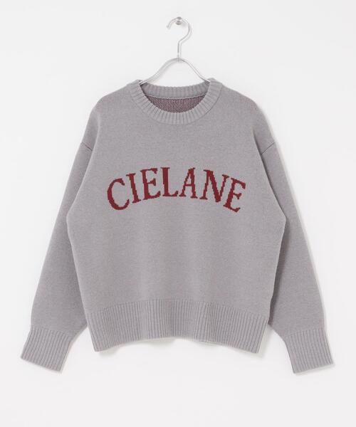 SENSE OF PLACE by URBAN RESEARCH（センスオブプレイスバイアーバンリサーチ）の「『洗濯可』ジャガードロゴニット（ニット/セーター・レディース・ピンク/グレー/ネイビー/ベージュ・ONE）」の16枚目の写真