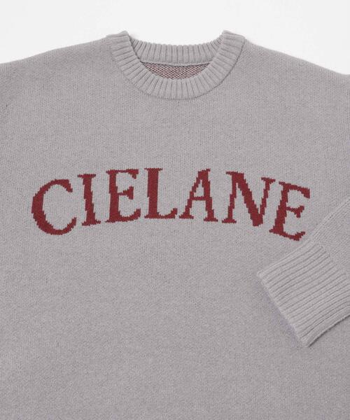 SENSE OF PLACE by URBAN RESEARCH（センスオブプレイスバイアーバンリサーチ）の「『洗濯可』ジャガードロゴニット（ニット/セーター・レディース・ピンク/グレー/ネイビー/ベージュ・ONE）」の17枚目の写真