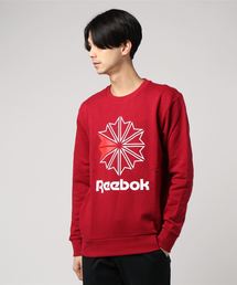 WEGO/Reebok CLASSIC プルオーバースウェット