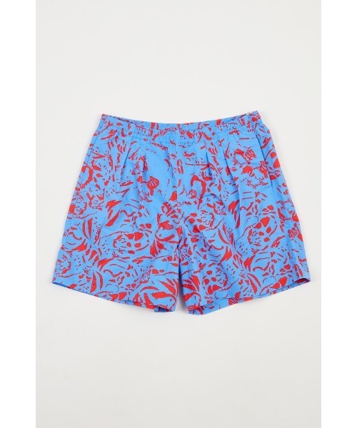 AlexanderLeeChang(アレキサンダーリーチャン)の「AlexanderLeeChang/アレキサンダーリーチャン NYANCAMO SHORTS(その他パンツ・メンズ・ブラック/ブルー/ミント・1/2/3)」の17枚目の写真