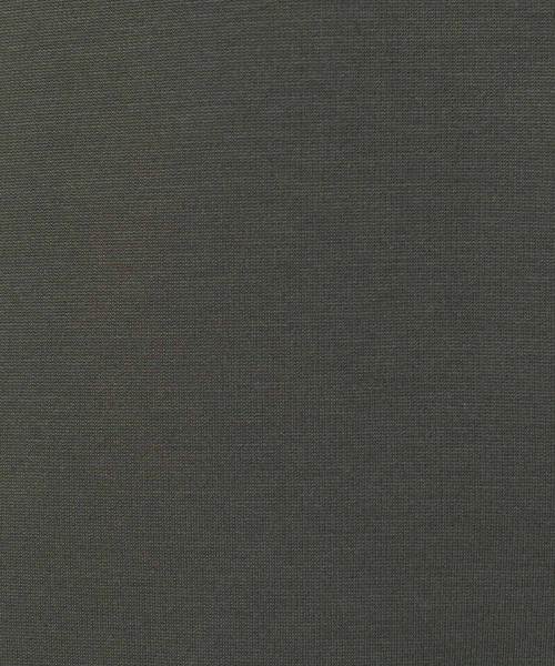 ABAHOUSE GRAY(アバハウスグレイ)の「ポンチ 刺繍 ロング Tシャツ(Tシャツ/カットソー・メンズ・ホワイト/ブラック/カーキ/グレイッシュブルー・46/48)」の17枚目の写真