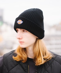 Dickies(ディッキーズ)のDickies EMB ロゴニットワッチ(ニットキャップ/ビーニー)