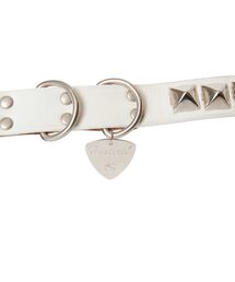 BALTAZAR×ヒステリックグラマー　ペット 用　リード HYSTERIC GLAMOUR（ヒステリックグラマー）の「STUDS ドッグ