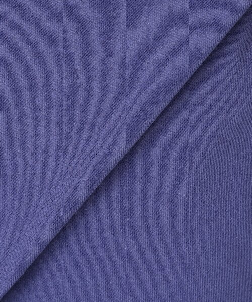 JOURNAL STANDARD relume(ジャーナルスタンダード レリューム)の「【SNOWPEAK / スノーピーク】別注 ロゴプリント Tシャツ(Tシャツ/カットソー・メンズ・パープル/カーキ/アイボリー/グリーン/ホワイト・LARGE/MEDIUM/SMALL)」の7枚目の写真