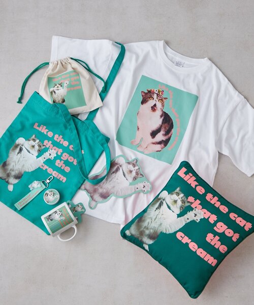 BIRTHDAY BAR(バースデイバー)の「Pechanko Cats クッション(クッション/クッションカバー・レディース・グリーン・0)」の7枚目の写真