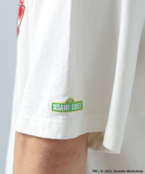 BAYFLOW（ベイフロー）の「【SESAME STREET(セサミストリート)】別注アソートプリント半袖Tシャツ（Tシャツ/カットソー・メンズ・オフホワイト/ベージュ/チャコール/ネイビー・LARGE/MEDIUM）」の15枚目の写真