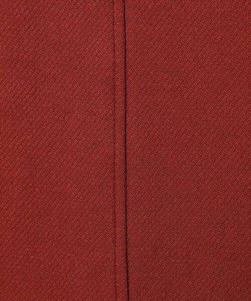 N.（N. Natural Beauty Basic）（エヌエヌナチュラルビューティーベーシック）の「スウェットライクナローマキシスカート（スカート・レディース・テラコッタ/ブラック/杢グレー・MEDIUM）」の13枚目の写真