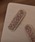 VIBGYOR Women�i���B�u�W���[�@�E�B�����j�́u�yresonance�z�G���K���X �L���L�� �X�g�[�� �p�b�`���s���y4�F/2�p�^�[���W�J/�I�P�[�W�����z�i�w�A�s���j�v�b�s���N�n1