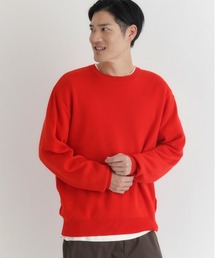 BACK NUMBER | 【BACK NUMBER】日本製クルーネックプルオーバー (ミニマルデザイン / 快適さ / 上品スタイル / 洗練されたシルエット)(ニット/セーター)