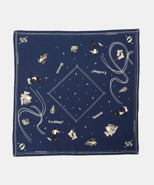 JOURNAL STANDARD（ジャーナルスタンダード）の「スキースカーフ（ストール/ショール・レディース・キャメル/ブルー・FREE）」の3枚目の写真