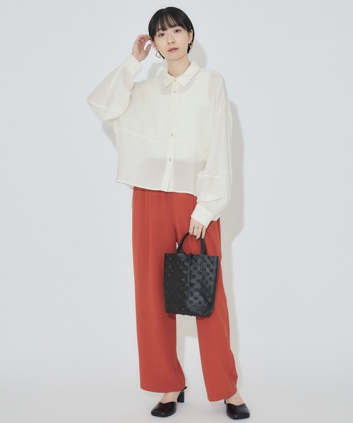 Paradise Picnic(パラダイスピクニック)の「cloche メッシュドライタッチブラウス(シャツ/ブラウス・レディース・ホワイト/ブラック/ブルー・FREE)」の5枚目の写真