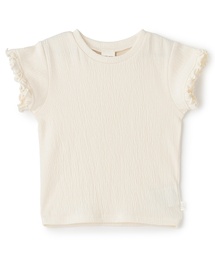 petit main(�v�e�B�}�C��)�̃J�b�g�k��T�V���c(T�V���c/�J�b�g�\�[)