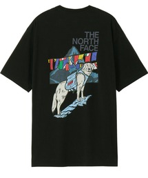 新品 日本未発売 ノースフェイス 2XL カットソー 涼感シャツ 韓国限定 韓国限定・日本未入荷】THE NORTH FACE SIGNATURE S/S R/TEE / ノース