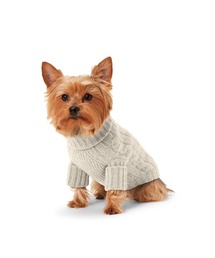RALPH LAUREN HOME（ラルフ ローレン ホーム）の「ケーブル カシミヤ ドッグ セーター（ペットウェア・レディース）」