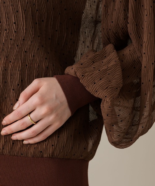 ROSIEE（ロージー）の「ROSIEE シアードットブラウス（シャツ/ブラウス・レディース・ブラック/ブラウン・FREE）」の9枚目の写真