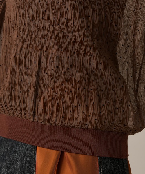 ROSIEE（ロージー）の「ROSIEE シアードットブラウス（シャツ/ブラウス・レディース・ブラック/ブラウン・FREE）」の17枚目の写真