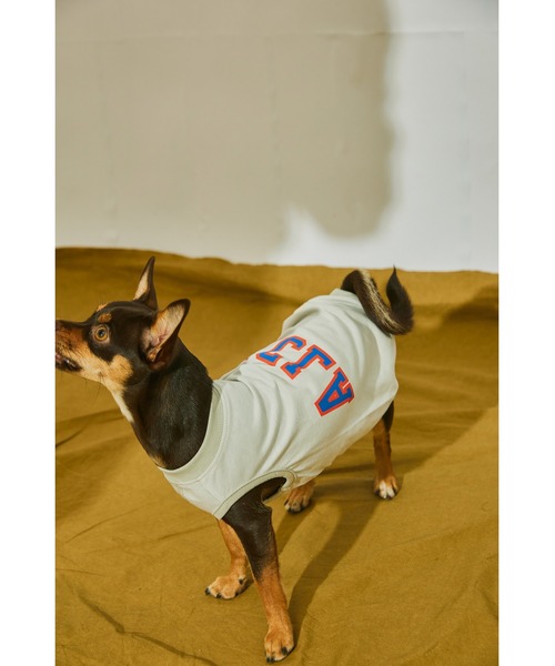 値下げ！アレキサンダーリーチャン カクタスアロハチェア AlexanderLeeChang（アレキサンダーリーチャン）の「Cactus