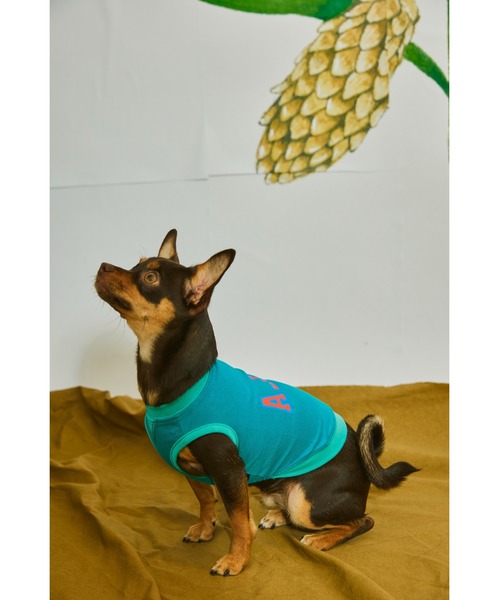 値下げ！アレキサンダーリーチャン カクタスアロハチェア AlexanderLeeChang（アレキサンダーリーチャン）の「Cactus Aloha