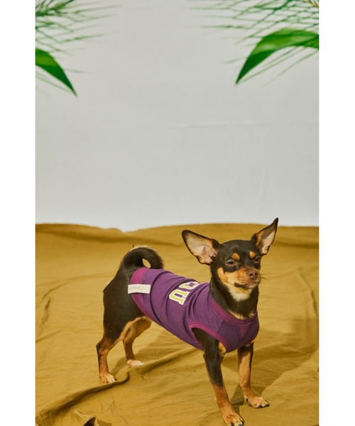 AlexanderLeeChang/アレキサンダーリーチャン ALCU PET TANK ペット