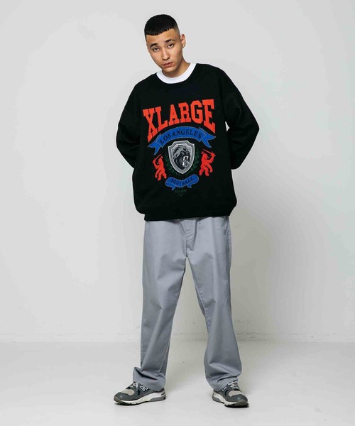 XLARGE（エクストララージ）の「WORK PANTS（その他パンツ・メンズ・グリーン/ベージュ/グレー/ブラック・32inch/34inch/30inch/36inch）」の21枚目の写真