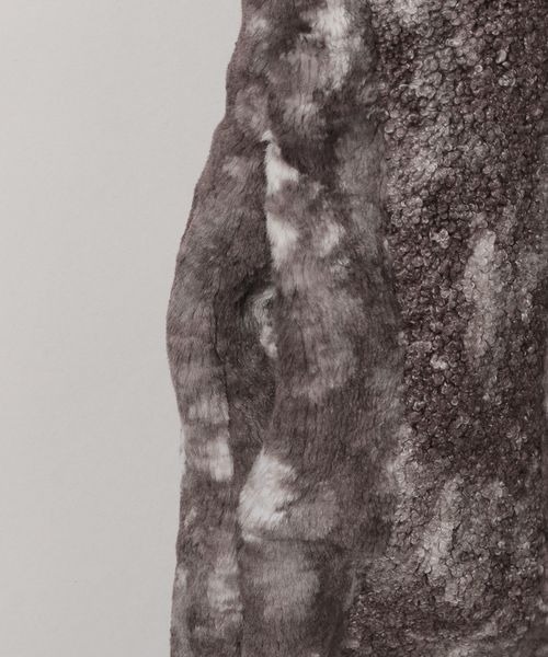 JEANASIS（ジーナシス）の「キリカエガラファーベスト/971039（ベスト・レディース・ブラウン系その他・FREE）」の5枚目の写真